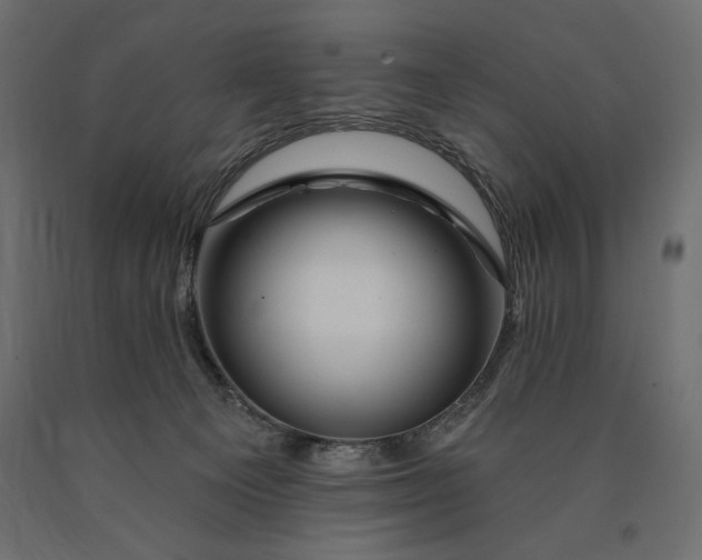 X0000090440129200708031203