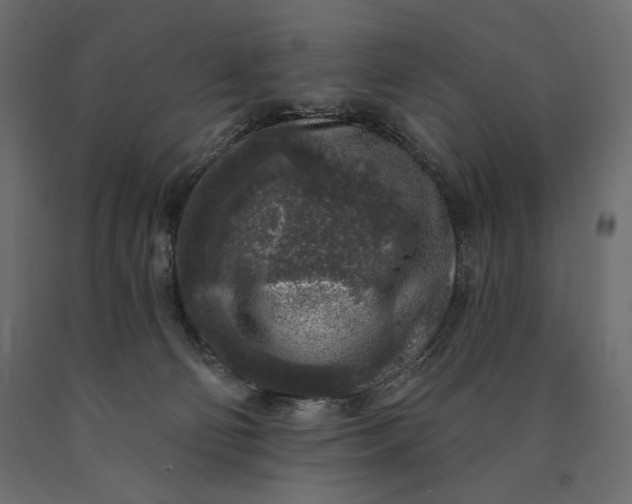 X0000090440130200708031203