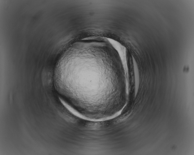 X0000090440131200708031203