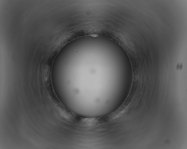 X0000090440133200708031203