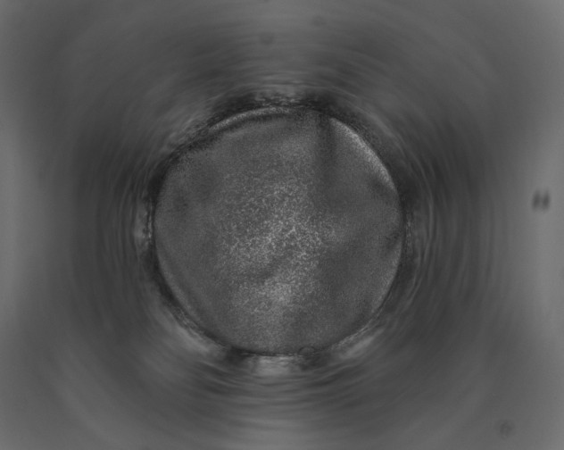 X0000090440134200708031203