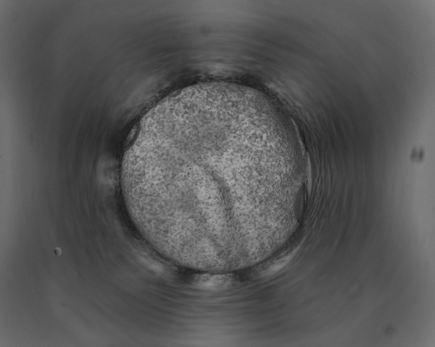 X0000090440135200708031203