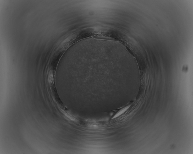 X0000090440137200708031203