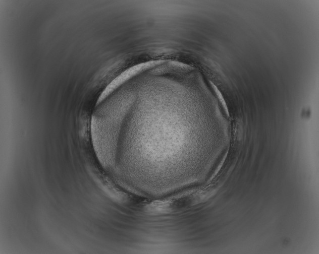 X0000090440138200708031202