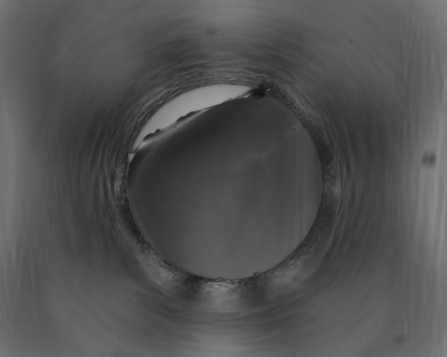 X0000090440139200708031202