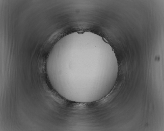 X0000090440140200708031202