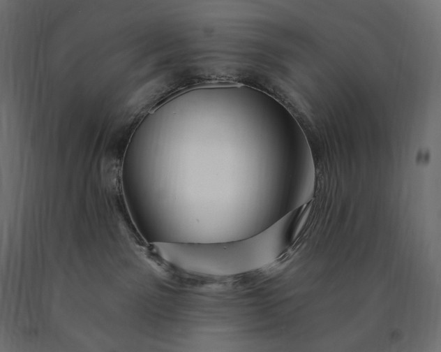 X0000090440141200708031202