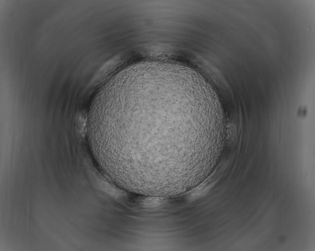 X0000090440142200708031202