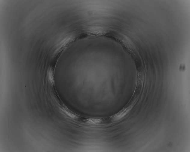 X0000090440143200708031202