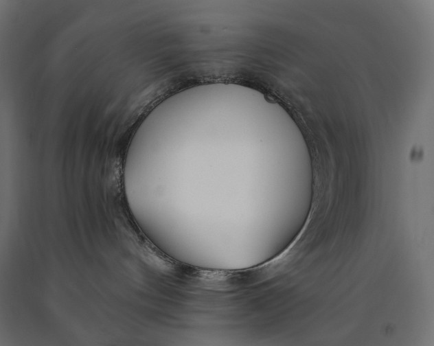 X0000090440144200708031202