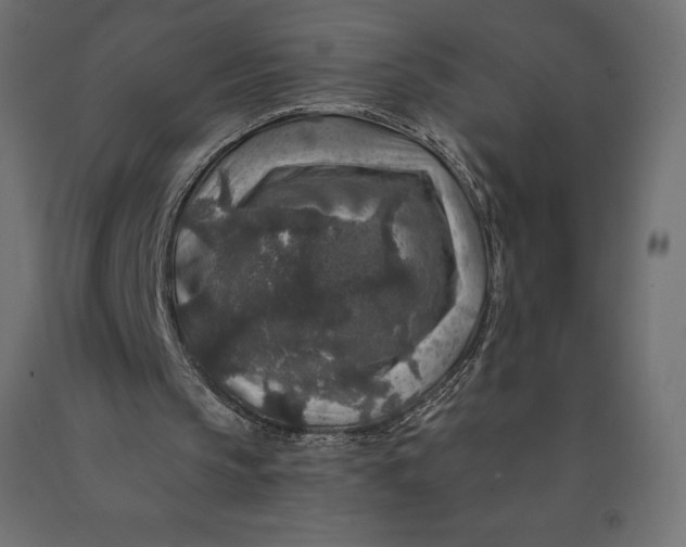 X0000090440145200708031201