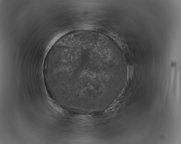 X0000090440147200708031201