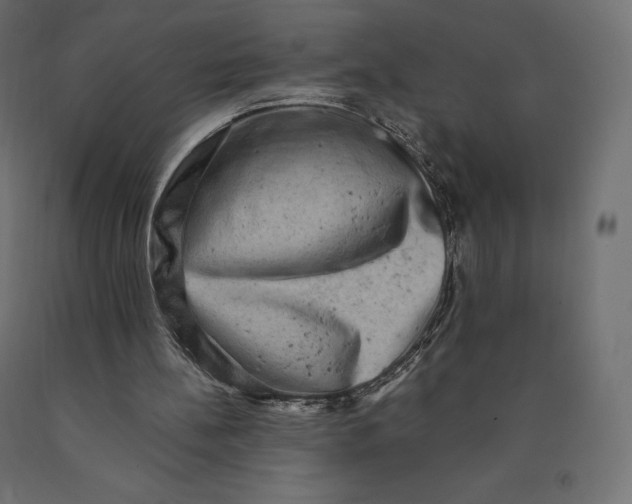 X0000090440148200708031201