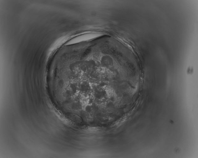 X0000090440149200708031201