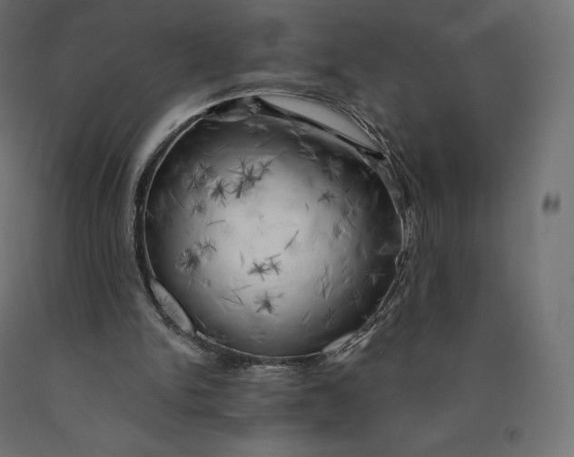 X0000090440150200708031201