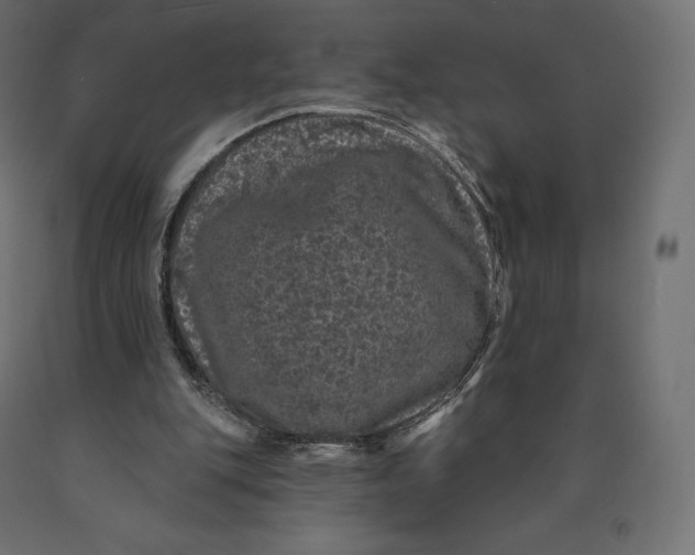 X0000090440151200708031201