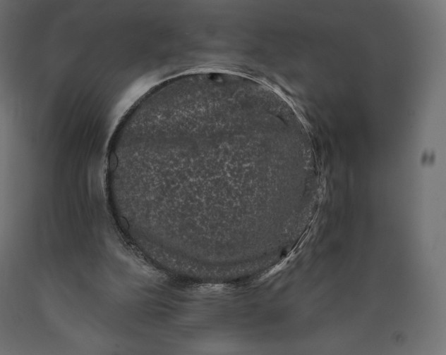 X0000090440152200708031202