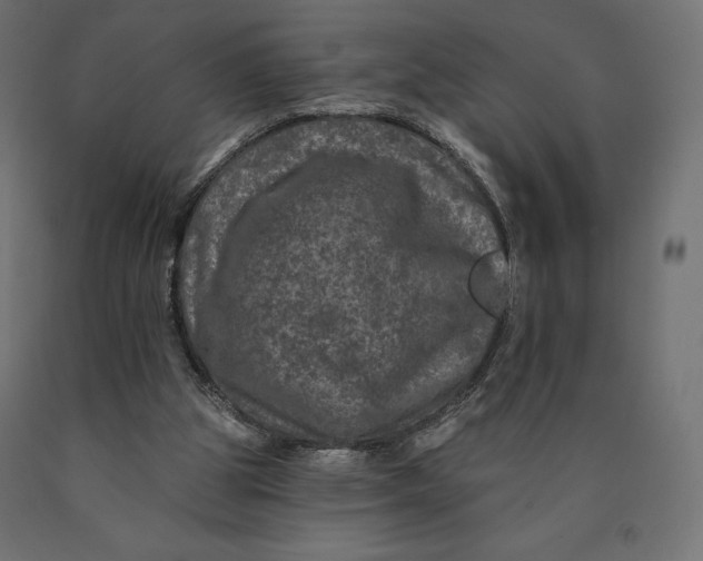 X0000090440153200708031202