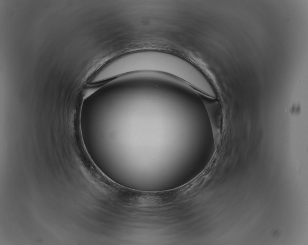 X0000090440154200708031202