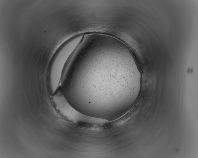 X0000090440156200708031202