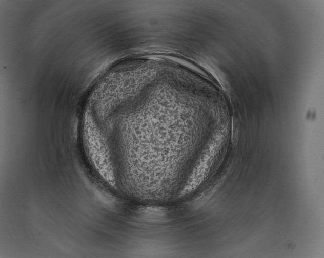 X0000090440157200708031202