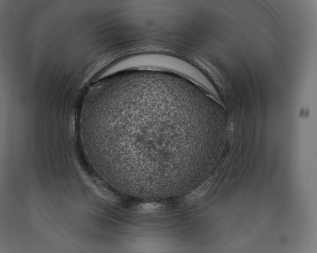 X0000090440158200708031202