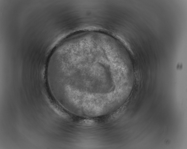 X0000090440159200708031202