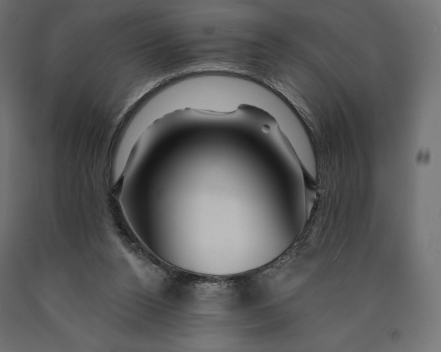 X0000090440160200708031202