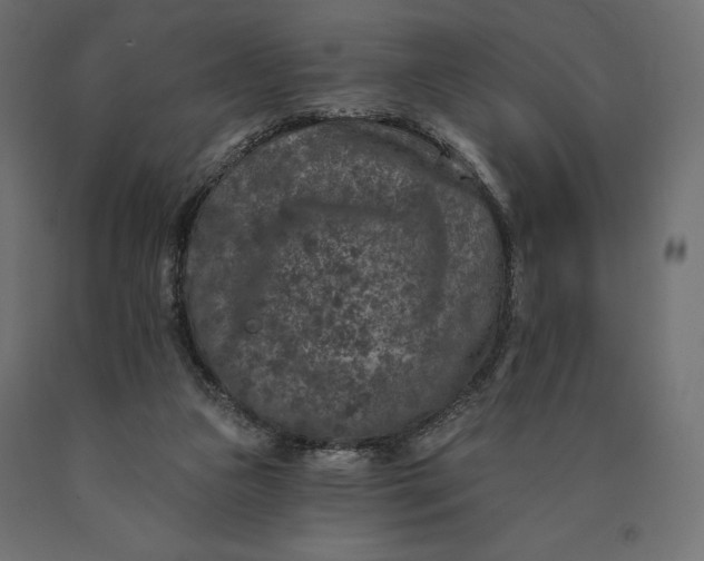 X0000090440161200708031202