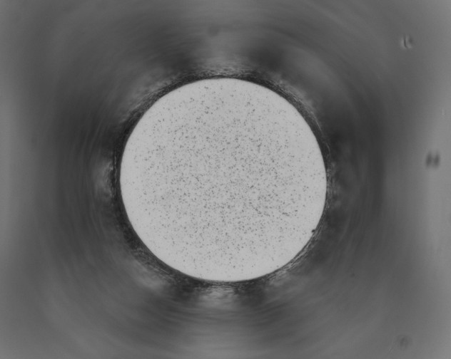 X0000090440162200708031202