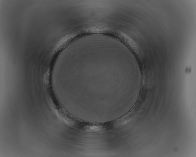 X0000090440163200708031202