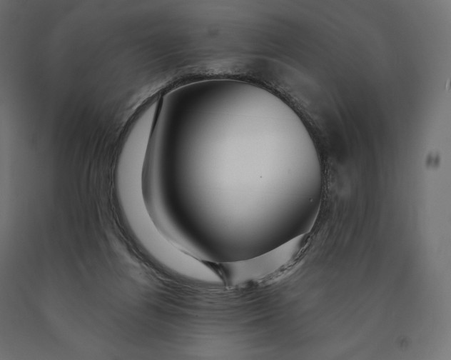 X0000090440164200708031202