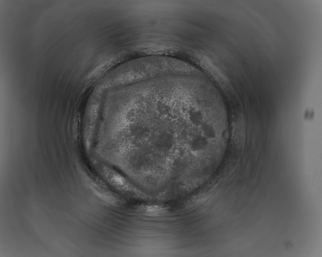 X0000090440165200708031202