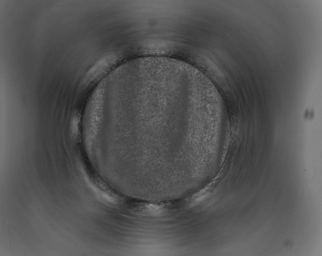 X0000090440166200708031202