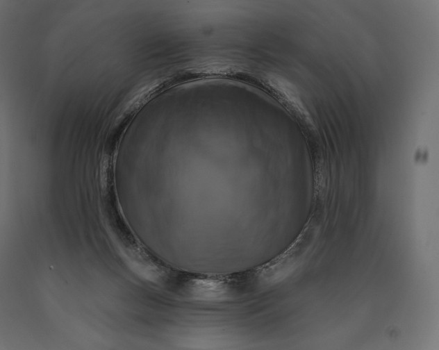 X0000090440167200708031202