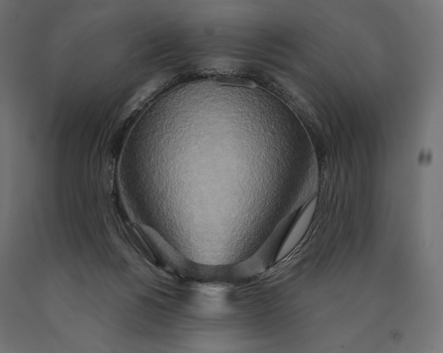 X0000090440168200708031202