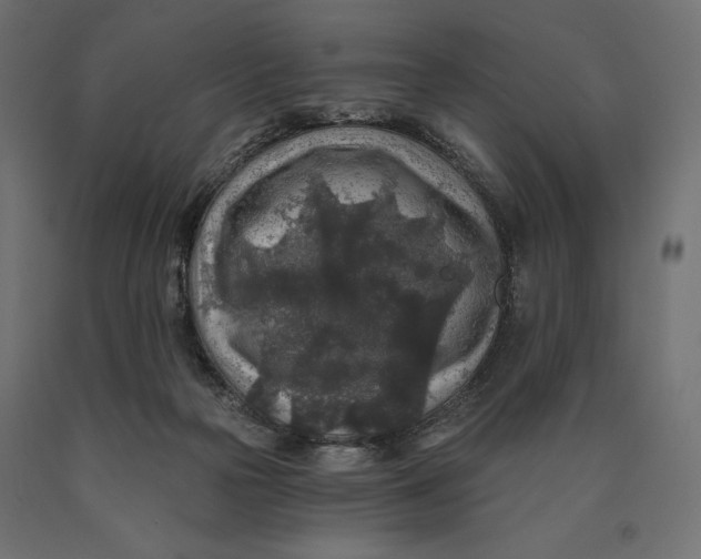 X0000090440169200708031202