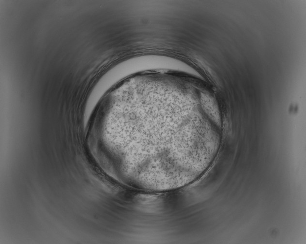 X0000090440170200708031202