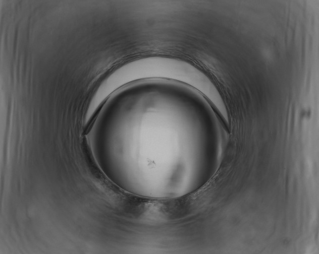 X0000090440172200708031202