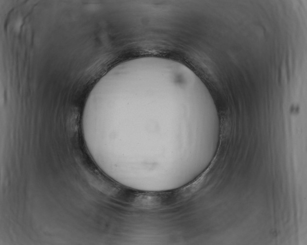 X0000090440174200708031202