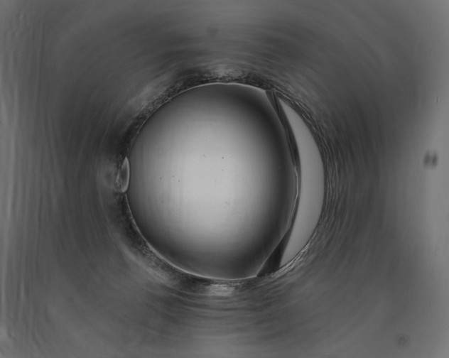 X0000090440176200708031202