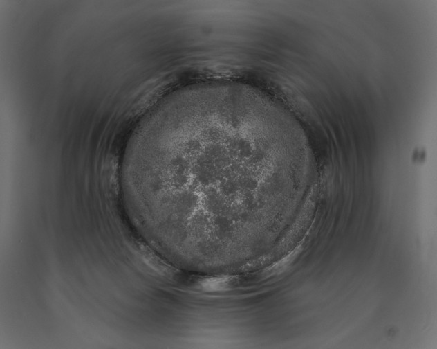 X0000090440178200708031202