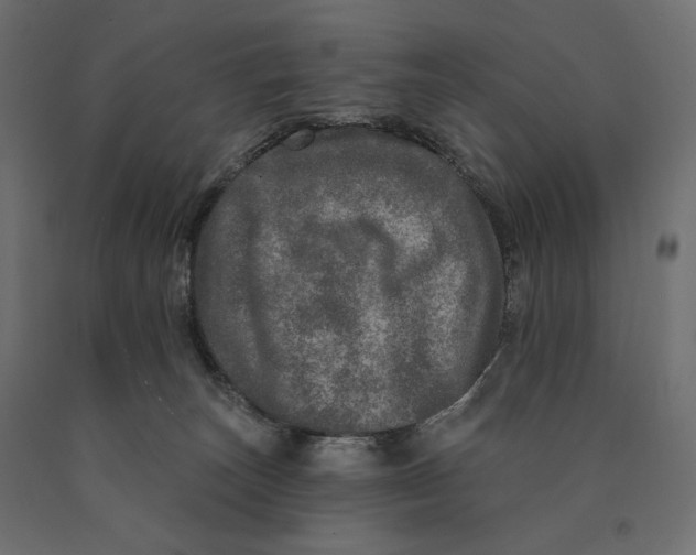 X0000090440179200708031202