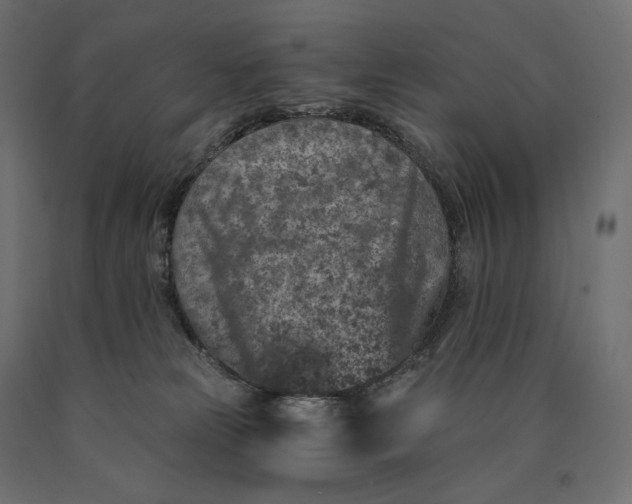 X0000090440181200708031202