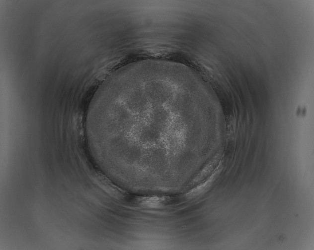 X0000090440182200708031202