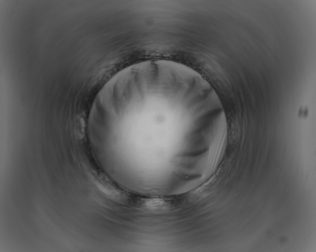 X0000090440183200708031202