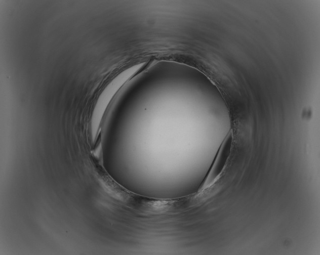 X0000090440184200708031202