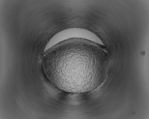 X0000090440186200708031202