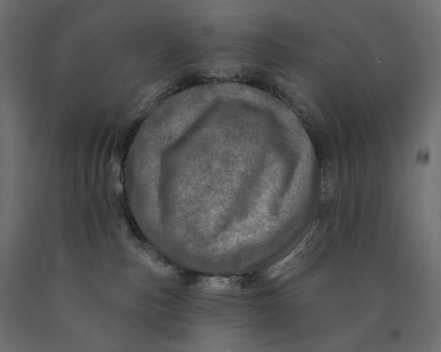 X0000090440187200708031202