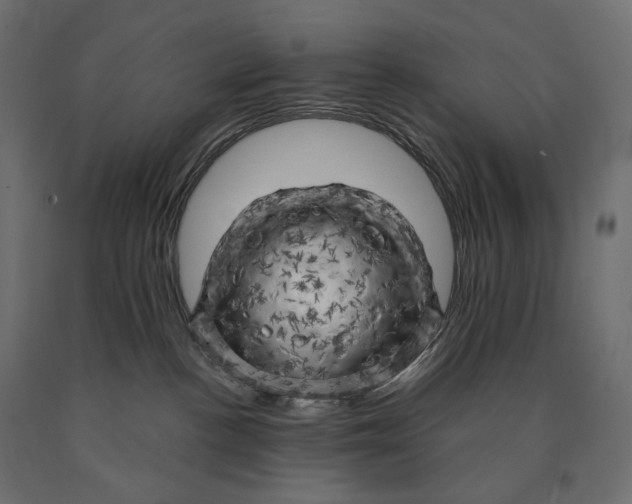 X0000090440188200708031202